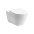 Lily Wall Hung Rimless Toilet With Soft Close Seat